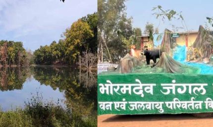 भोरमदेव में शुरू होगी जंगल सफारी, 17 बार नदी पार करने का मिलेगा रोमांचक अनुभव