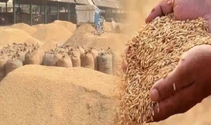 550 किसानों को फिर मिला धान बेचने का मौका, धान खरीदी तिथि दो दिन और बढ़ाई