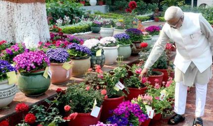 मेहनत और निष्ठा का प्रतिफल, पुरस्कार : राज्यपाल  पटेल