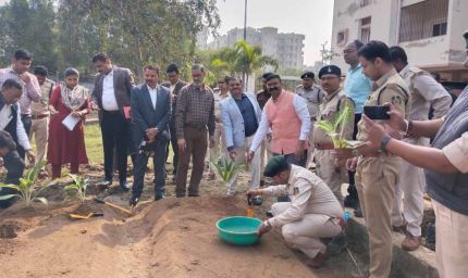 हाइड्रोपोनिक्स से टेरेस गार्डन को मिल रही नई दिशा