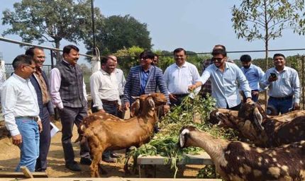 कृषि और पशुपालन किसानों के लिए बन रहा लाभकारी व्यवसाय