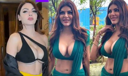 शर्लिन चोपड़ा बर्थडे: 15 साल की उम्र में बनीं मिस आंध्र, ‘प्लेबॉय’ फोटोशूट से मिली पहचान