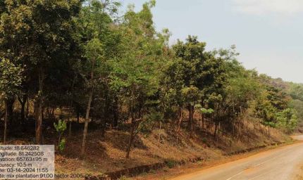 वन विकास निगम और एनएमडीसी बचेली के बीच 50 हजार पौधारोपण का अनुबंध