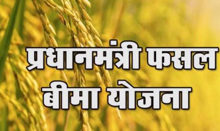 फसल बीमा से किसानों का मोहभंग: रबी पंजीकरण में 10% की गिरावट, जानिए कारण