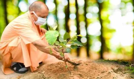 योगी सरकार-2026 में पूरे प्रदेश में लगाएगी 35 करोड़ पौधे