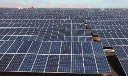 हरियाणा के सरकारी भवनों पर सौर ऊर्जा प्लांट, दलहन किसानों के लिए नई नीति का ऐलान: CM सैनी