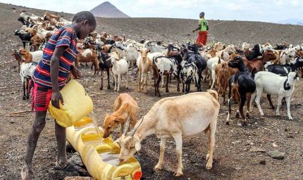 केन्या में सूखा: 20 लाख लोग भुखमरी की कगार पर, मौत का साया