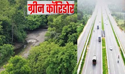 फतेहाबाद में 15 हजार पौधों से 4 डिग्री गिरा तापमान, अब पूरे हरियाणा में बनेंगे ग्रीन कॉरिडोर