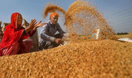 20 हजार से अधिक किसानों ने समर्थन मूल्य पर गेहूँ उपार्जन के लिये कराया पंजीयन : मंत्री राजपूत