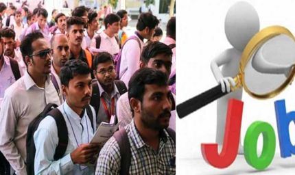 पंजाब एक्साइज विभाग में निकली भर्ती, उम्मीदवारों के लिए सुनहरा मौका