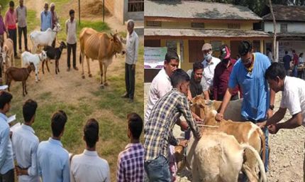 बिहार में पशुपालन मित्रों की नियुक्ति, ग्रामीण युवाओं को रोजगार और पशु पालकों को होगा लाभ