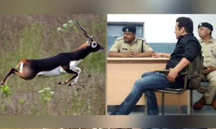काला हिरण केस में Salman Khan को राहत, Rajasthan High Court ने पुटअप अनादर बेंच को दिए निर्देश