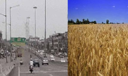 फरवरी में मार्च-अप्रैल जैसी गर्मी का एहसास, पश्चिमी विक्षोभ से बारिश की उम्मीद