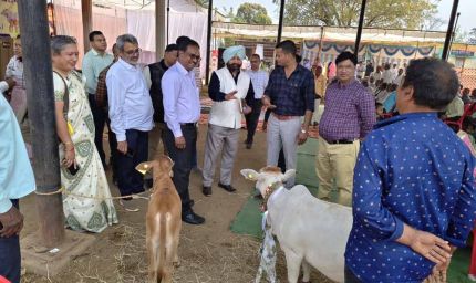 केन्द्रीय पर्यवेक्षकों ने छत्तीसगढ़ में पशुधन योजनाओं का लिया फीडबैक