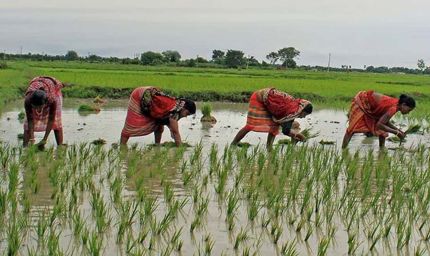 छत्तीसगढ़ सरकार की योजना: किसान तैयार हो जाएं, 1.5 लाख रुपये तक मिलेगा लाभ, जानें आवेदन प्रक्रिया