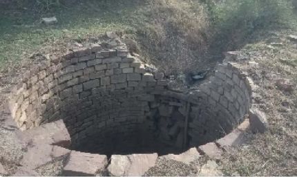 बांधवगढ़ में 4100 कुओं पर मुंडेर का निर्माण, वन्यजीवों की मौत से लिया सबक, प्रशासन और टाइगर रिजर्व की पहल