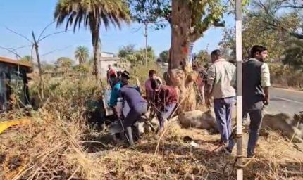 छत्तीसगढ़ से झारखंड गौवंश तस्करी का खुलासा, पुलिस पीछा में पलटी पिकअप, 3 गायों की मौत