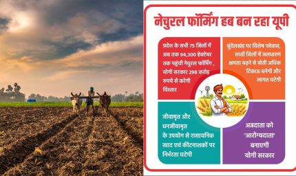 प्रदेश के सभी 75 जिलों में अब तक 94,300 हेक्टेयर तक पहुंची नेचुरल फॉर्मिंग, योगी सरकार 298 करोड़ रुपये से करेगी विस्तार