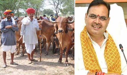 मंगला पशु बीमा योजना में 21 हजार पशुओं का होगा बीमा, पशु पालक चूके तो ₹40 हजार का नुकसान