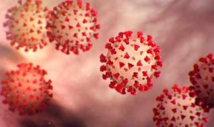 कोरोना जैसे लक्षण, फेफड़ों में एलर्जी और हाई ग्रेड फीवर: मरीजों की संख्या बढ़ी, डॉक्टर्स की चिंता