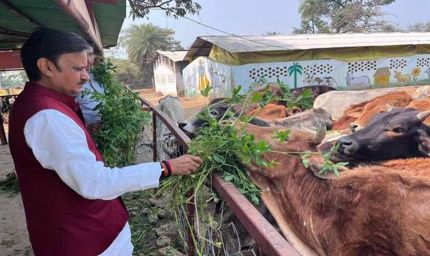 उप मुख्यमंत्री  शुक्ल ने लक्ष्मणबाग गौशाला का किया भ्रमण