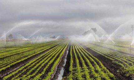 200 हेक्टेयर भूमि होगी सिंचित, लाखों किसानों को मिलेगा लाभ : खाद्य मंत्री राजपूत