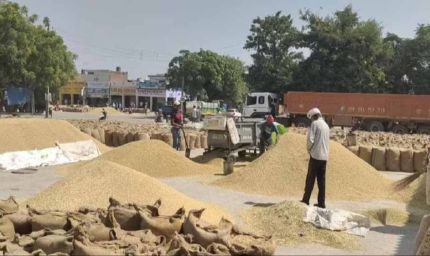 धान उपार्जन में बड़ा फर्जीवाड़ा, राइस मिल के मुंशी समेत 4 गिरफ्तार
