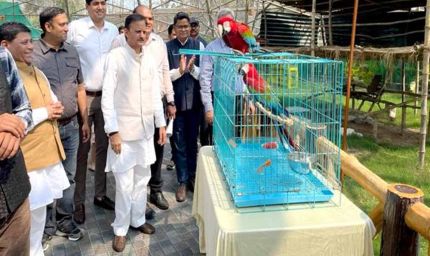 उप मुख्यमंत्री  शुक्ल ने मुकुंदपुर जू का किया निरीक्षण विदेशी पक्षियों से एवियारी हुआ गुलजार