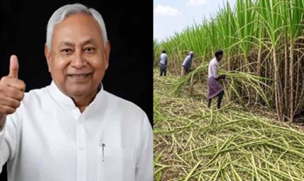 बिहार में चीनी उद्योग का होगा विकास, गन्ने का रकबा बढ़ाने का सरकार ने सेट किया टारगेट