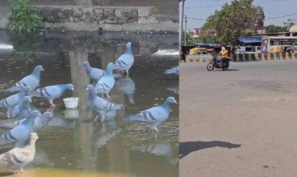 हरियाणा में समय से पहले सर्दी खत्म, मार्च में 35 डिग्री पहुंचेगा पारा