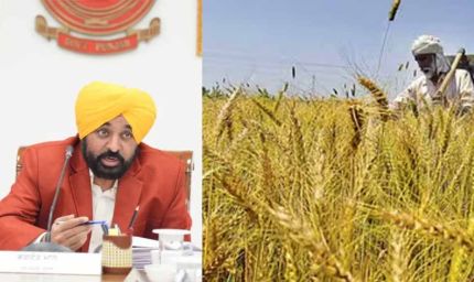 पंजाब सरकार का ऐतिहासिक फैसला, सीमावर्ती किसानों को सरकारी जमीन पर मुआवजे का मिलेगा हक