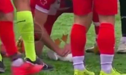 लाइव मैच में पक्षी को लगी गेंद, खिलाड़ी ने दिया CPR, बच गई जान, वीडियो वायरल