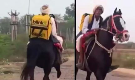 ‘रॉयल डिलीवरी’ का वीडियो वायरल, घोड़े पर सवार होकर ऑर्डर लेते दिखे Blinkit वाले अंकल