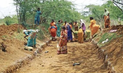 बिहार में लागू होगा गुजराती सहकारी मॉडल, जैविक खेती और ग्रामीण विकास को मिलेगा बढ़ावा