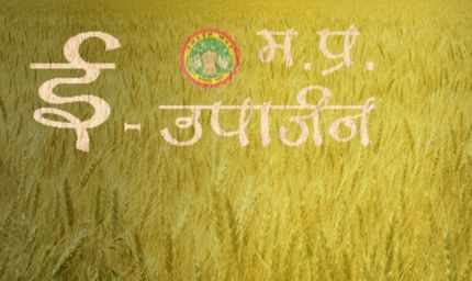 4 लाख 42 हजार से अधिक किसानों ने समर्थन मूल्य पर गेहूँ उपार्जन के लिये कराया पंजीयन