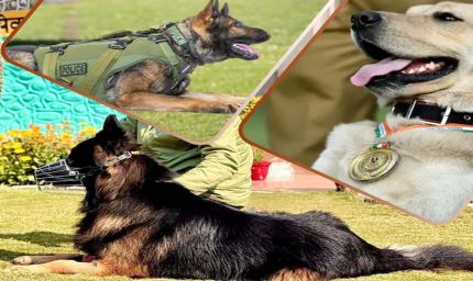 CRPF की K9 यूनिट बनी आतंकियों का खौफ, टॉयसन जैसे सैकड़ों डॉग कमांडो तैयार