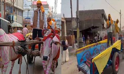 बैलगाड़ी से पहुंची बारात, देसी थीम वाली शादी ने ताजा की पुराने दिनों की यादें