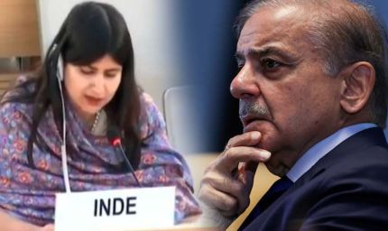 भारत ने UN में खुली पाकिस्तान की पोल, कहा– हमारा कश्मीर बजट IMF कर्ज से भी दोगुना