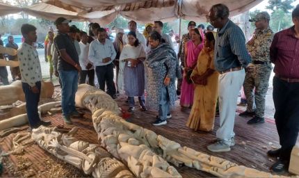 बीजापुरी नंबर-1 में काष्ठ शिल्पियों के कार्यों का शहडोल संभाग की कमिश्नर ने लिया जायजा