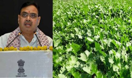 सीएम भजनलाल की होली से पहले बड़ी घोषणा, खुशी से झूमे धनिया किसान-व्यापारी