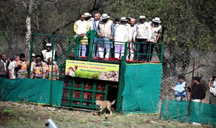 मिशन चीता की नई सफलता, बोत्सवाना से 9 और चीते कूनो पहुंचे, भारत में संख्या हुई 48