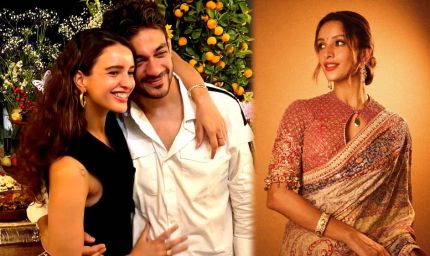 करोड़पति बिजनेसमैन की बांहों में रोमांटिक हुई एक्ट्रेस तृप्ति डिमरी, रिश्ता किया कंफर्म, क्या होगी शादी?