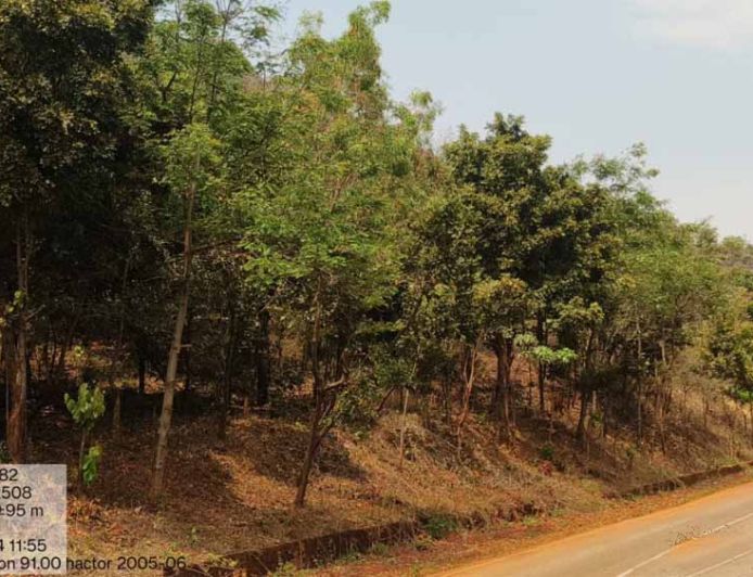 वन विकास निगम और एनएमडीसी बचेली के बीच 50 हजार पौधारोपण का अनुबंध