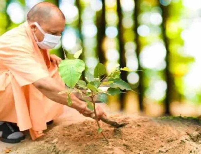 योगी सरकार-2026 में पूरे प्रदेश में लगाएगी 35 करोड़ पौधे
