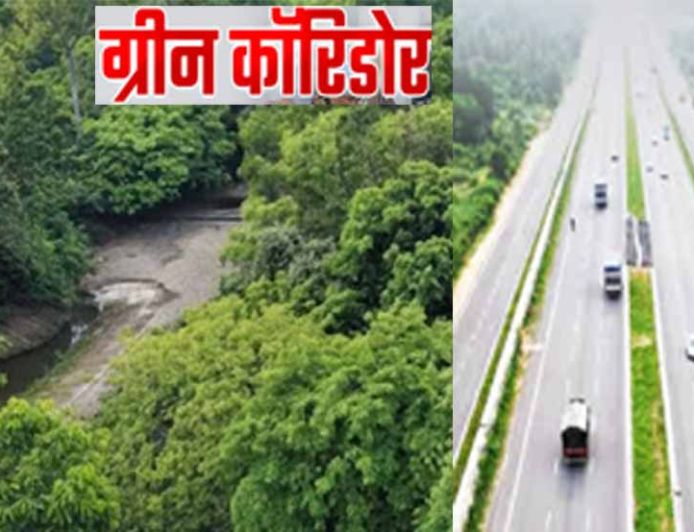 फतेहाबाद में 15 हजार पौधों से 4 डिग्री गिरा तापमान, अब पूरे हरियाणा में बनेंगे ग्रीन कॉरिडोर