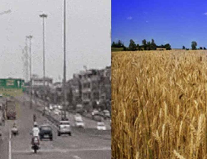 फरवरी में मार्च-अप्रैल जैसी गर्मी का एहसास, पश्चिमी विक्षोभ से बारिश की उम्मीद