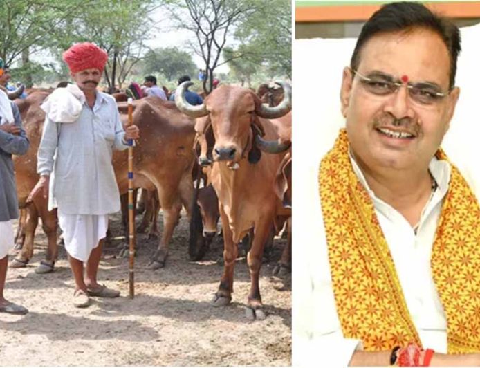 मंगला पशु बीमा योजना में 21 हजार पशुओं का होगा बीमा, पशु पालक चूके तो ₹40 हजार का नुकसान