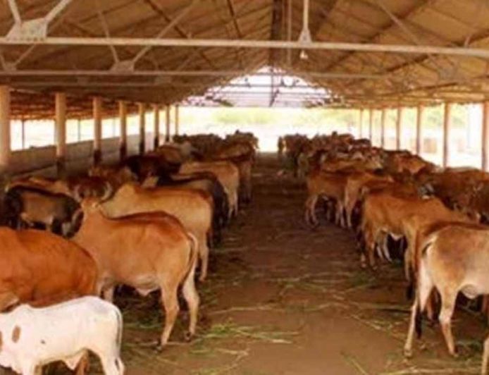 63 को गोकुल व 49 को आज मिलेगा नंद बाबा पुरस्कार