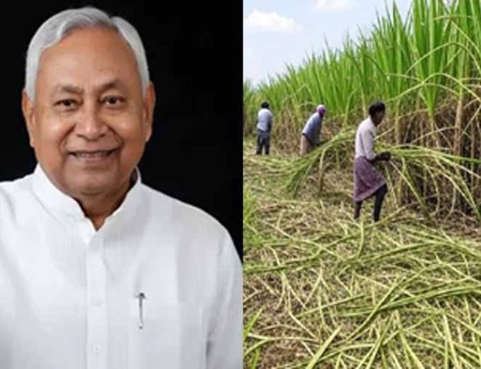 बिहार में चीनी उद्योग का होगा विकास, गन्ने का रकबा बढ़ाने का सरकार ने सेट किया टारगेट
