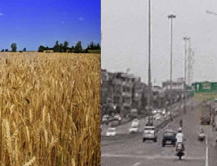 2 मार्च तक पंजाब में तापमान रहेगा नॉर्मल, रात और सुबह हो रहा गुलाबी ठंड का एहसास